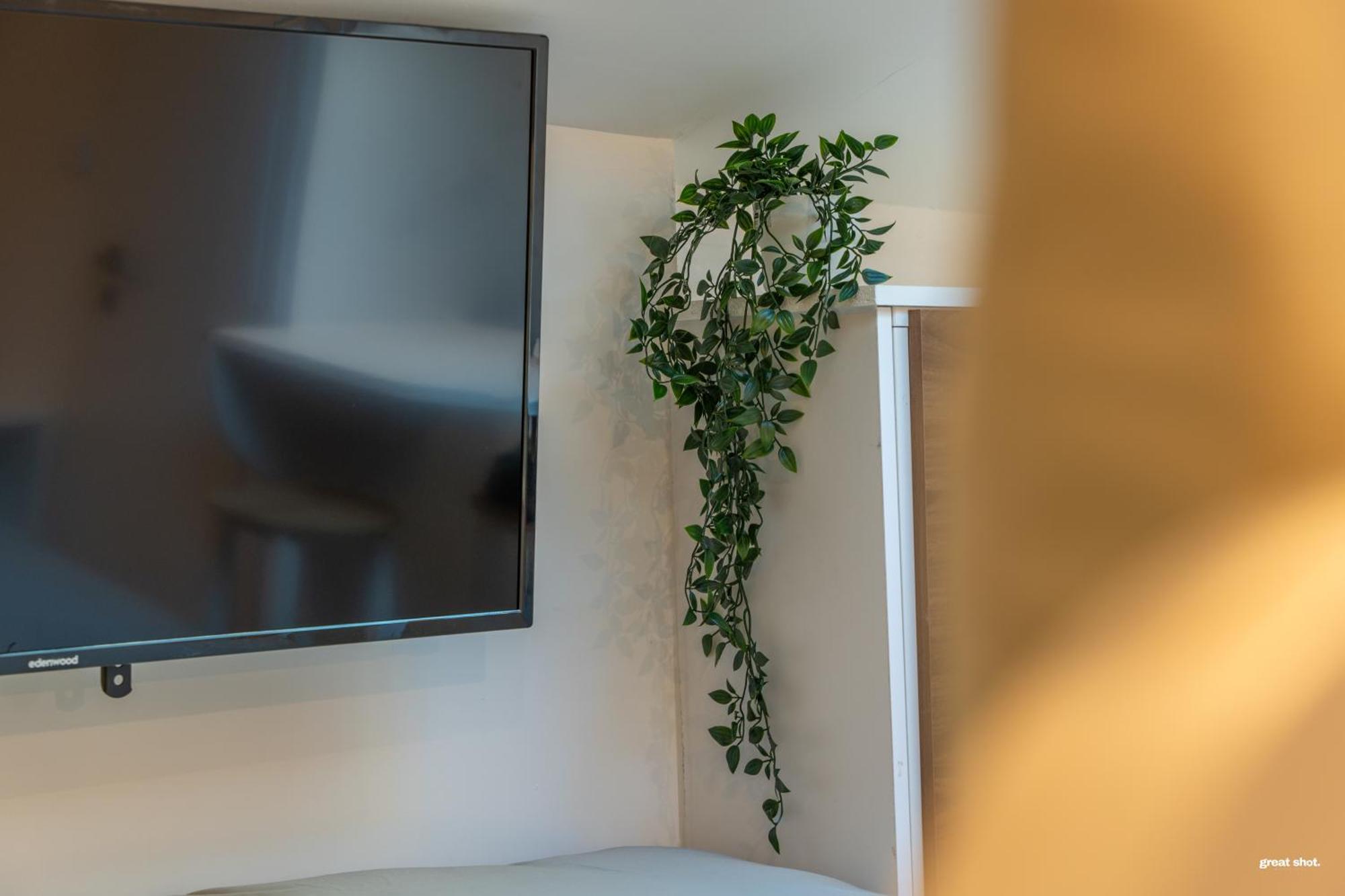 Montsejour - Magnifique Studio Neuf Toulouse Extérieur photo